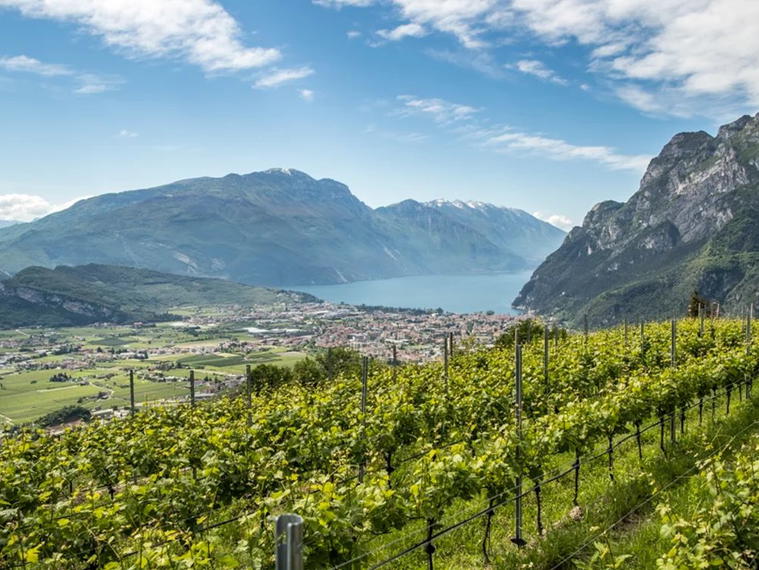 Cantina Furletti, Riva del Garda, Italy