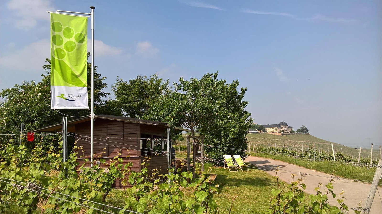 Biebers Weinkultur, Geisenheim, Germany