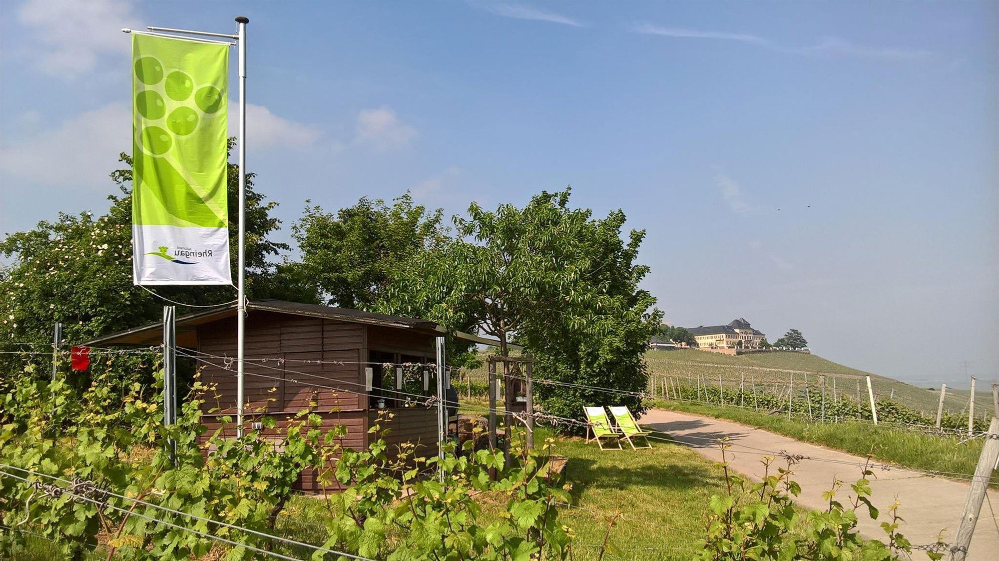 Biebers Weinkultur, Winery in Geisenheim