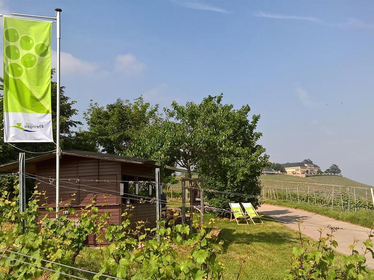 Biebers Weinkultur, Geisenheim, Germany