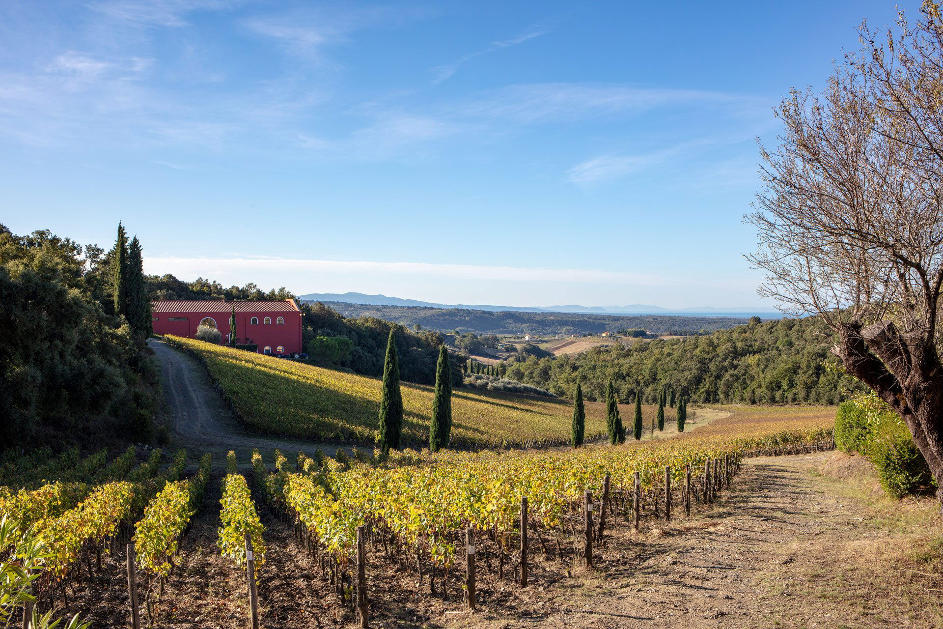 Caiarossa, Winery in Riparbella