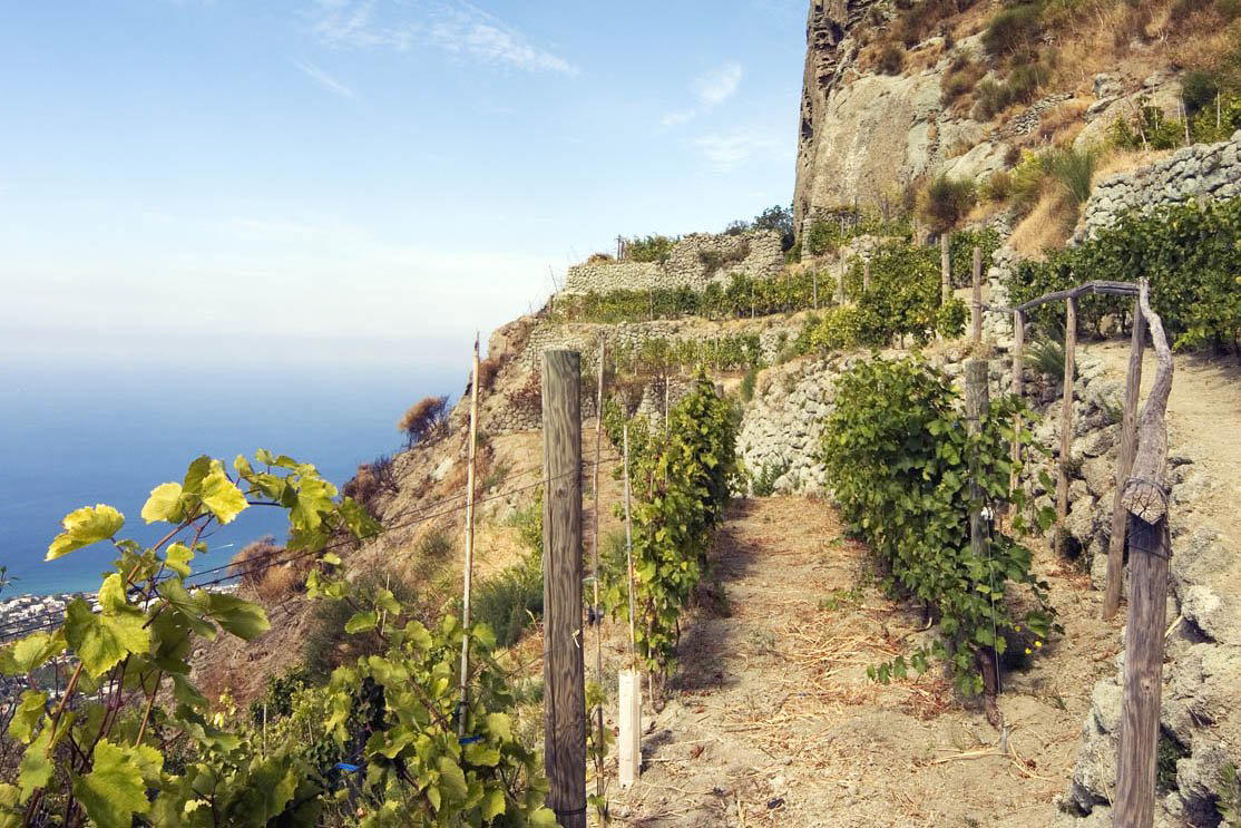 Casa d'Ambra winery in Forio