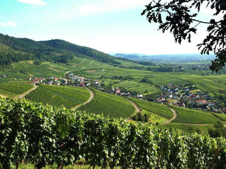 Baden-Badener Weinhaus am Mauerberg GmbH, Baden Baden Neuweier, Germany