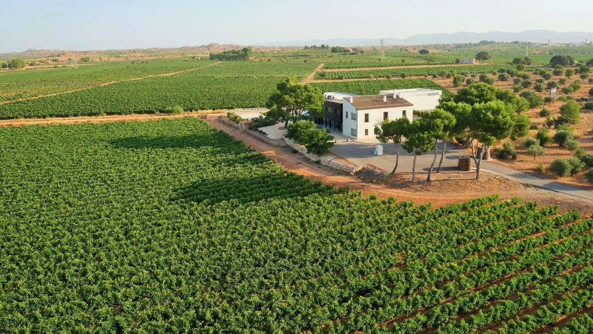 Bodegas y Viñedos Ausàs winery in Madrid, Spain