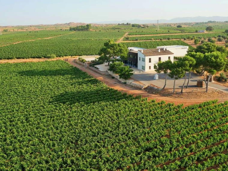 Bodegas y Viñedos Ausàs, Madrid, Spain