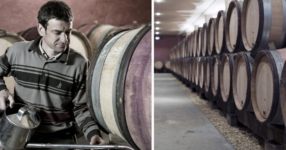 Domaine Rapet Père et Fils