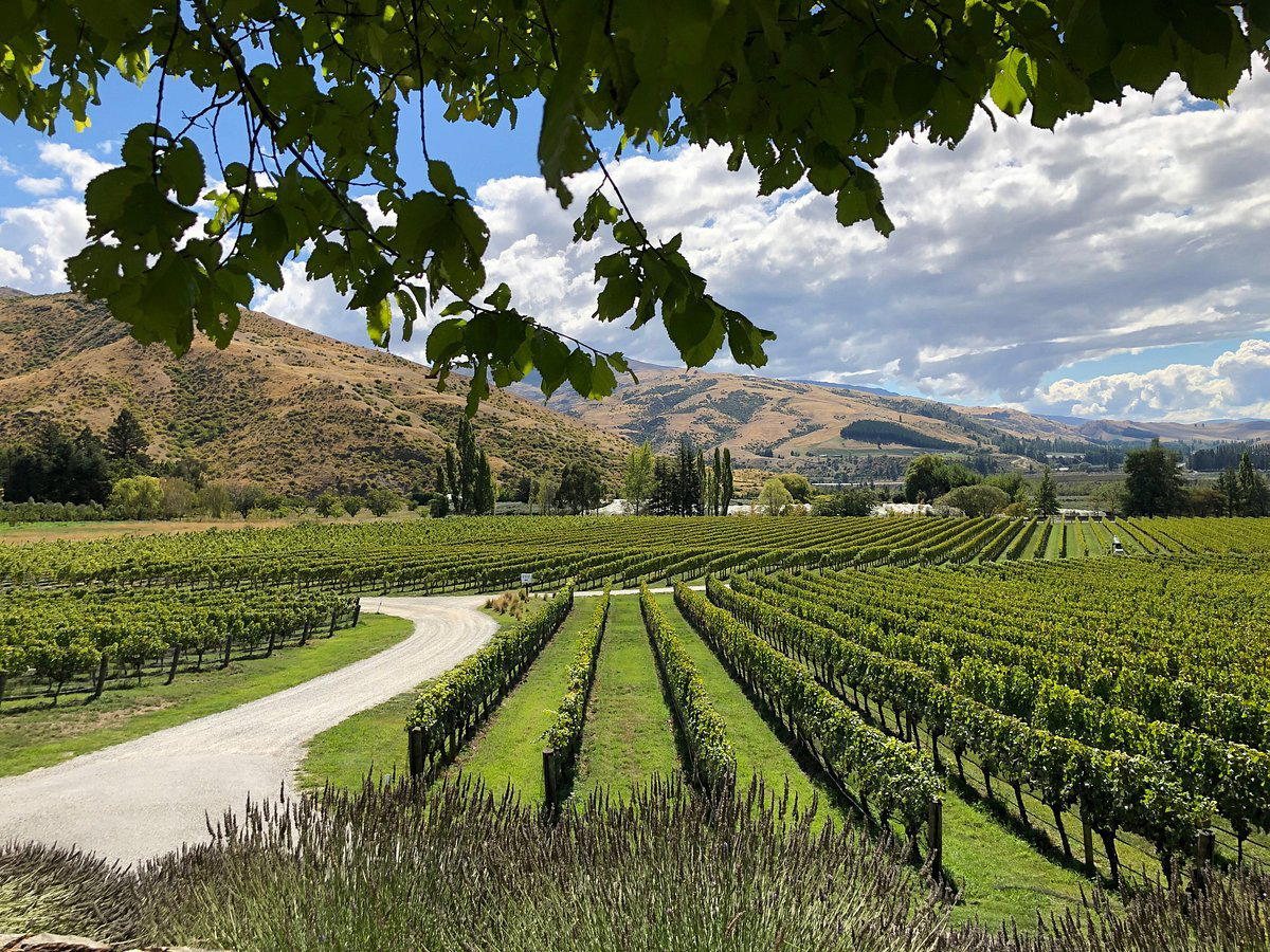 Ceres Wines winery in Cromwell