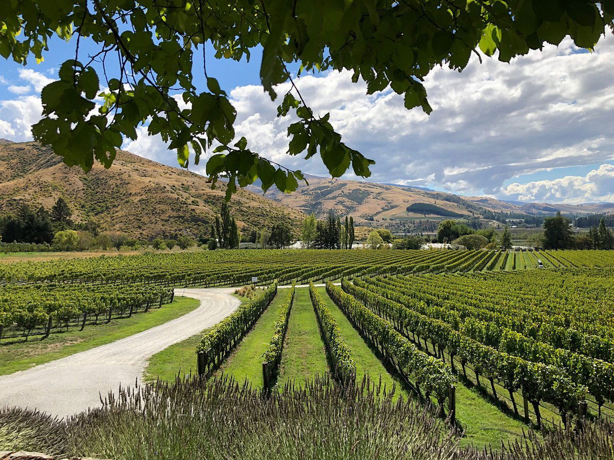 Ceres Wines, Winery in Cromwell