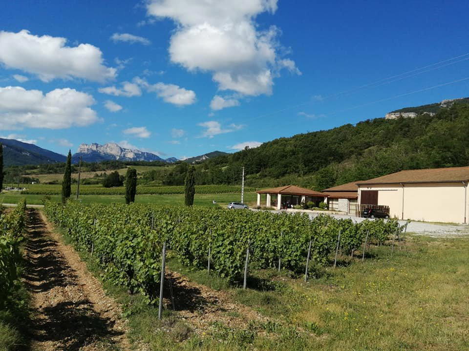POULET ET FILS winery in Vercheny