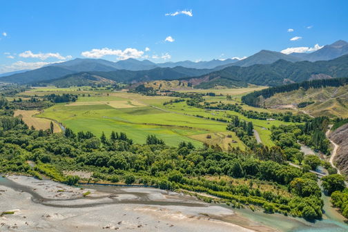 Babich Wines
