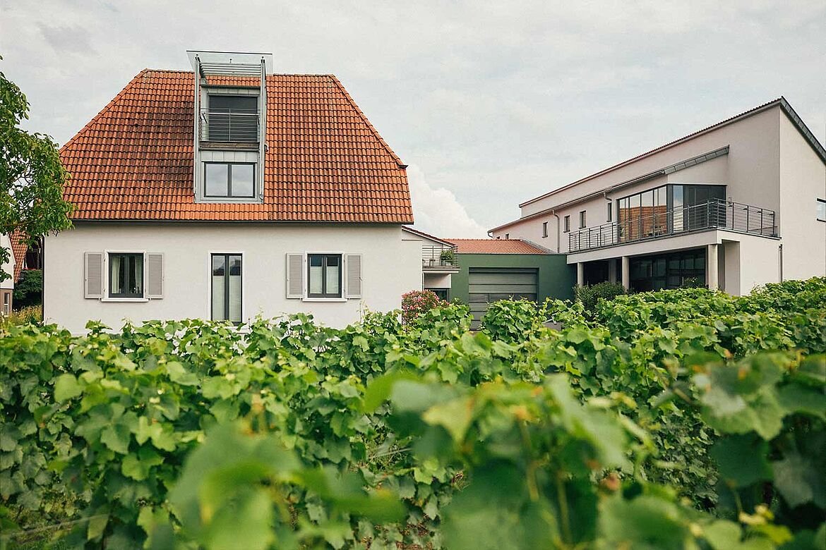 Bioweinbau Johann Lang, Morbisch, Austria