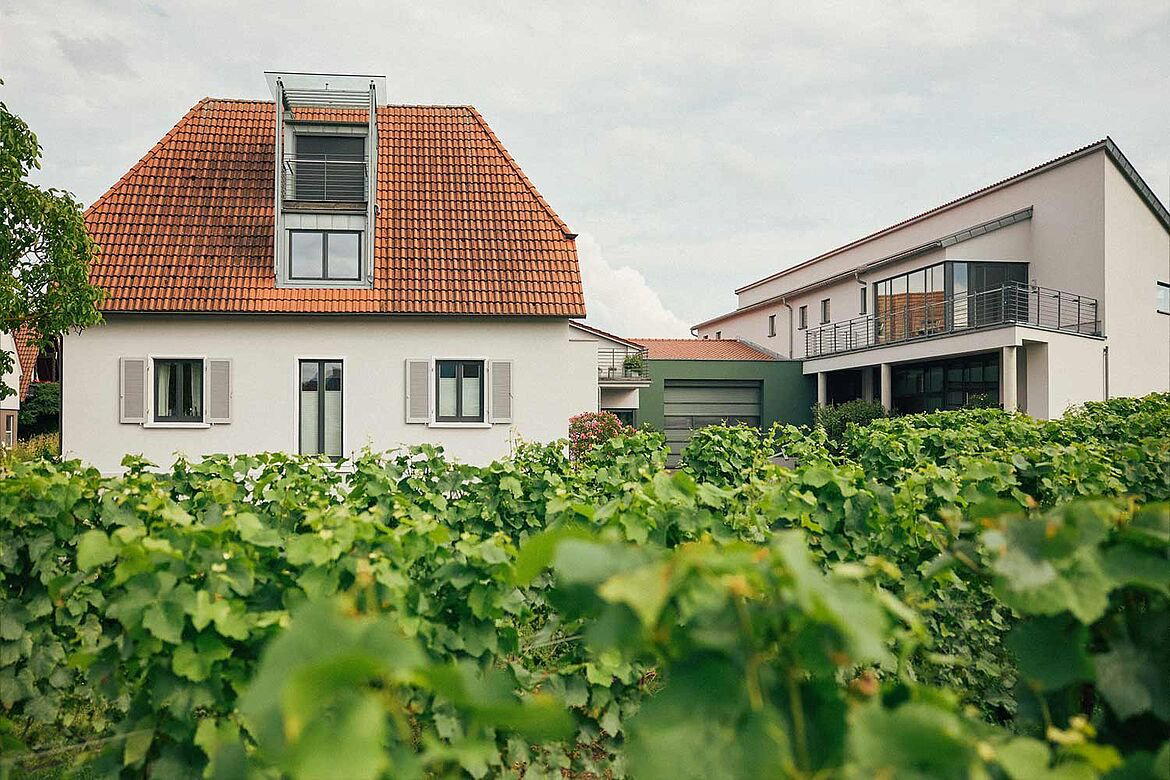 Bioweinbau Johann Lang winery in Morbisch