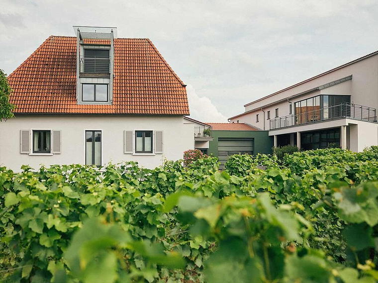 Bioweinbau Johann Lang, Morbisch, Austria