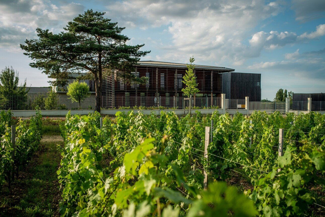 Château Couhins, Winery in Villenave D Ornon Cedex