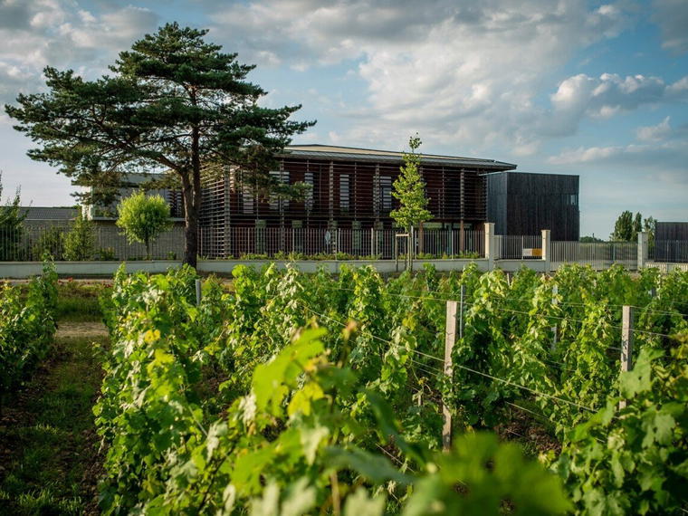 Château Couhins, Villenave D Ornon Cedex, France