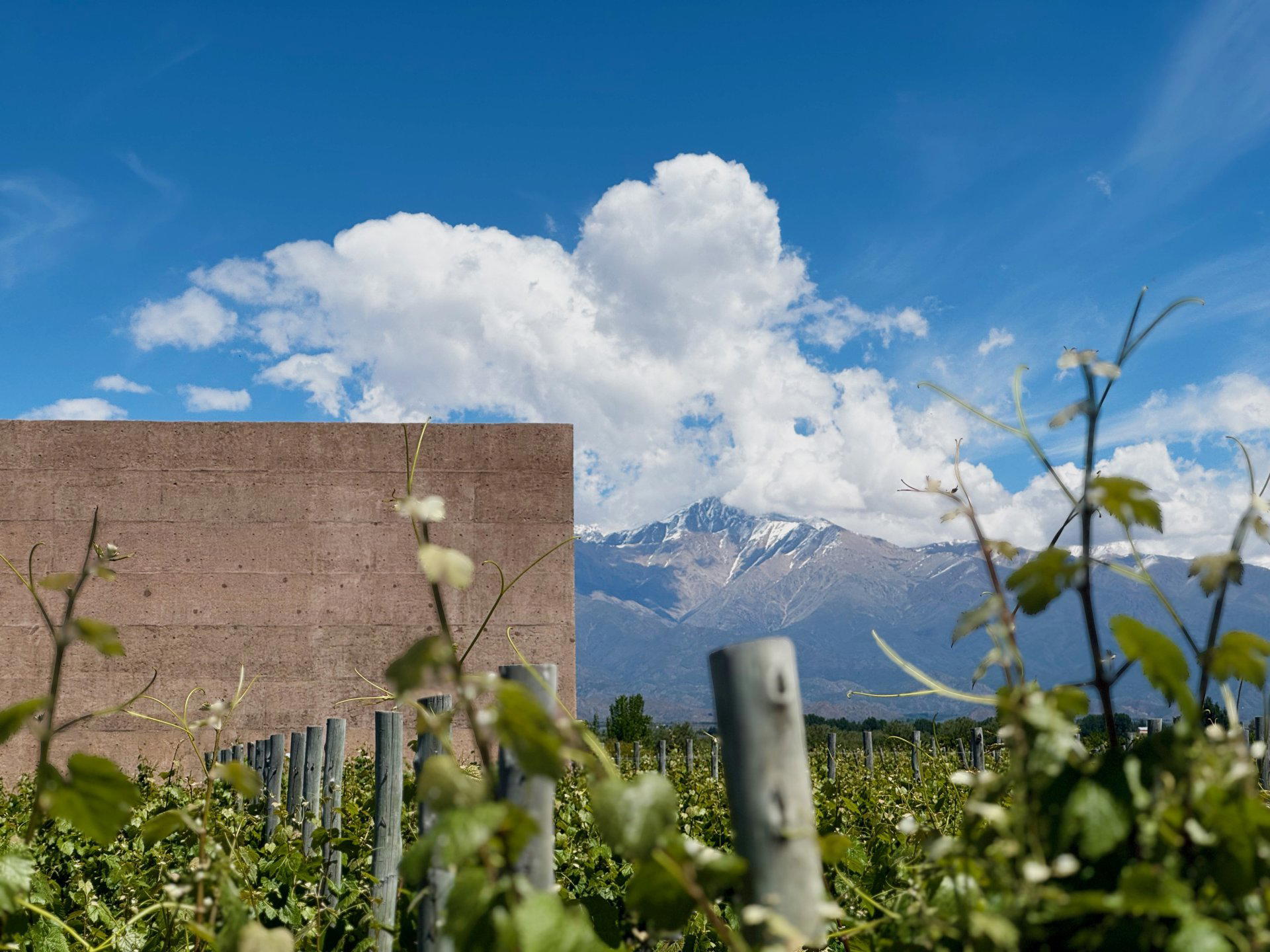 Magía de Uco winery in Mendoza