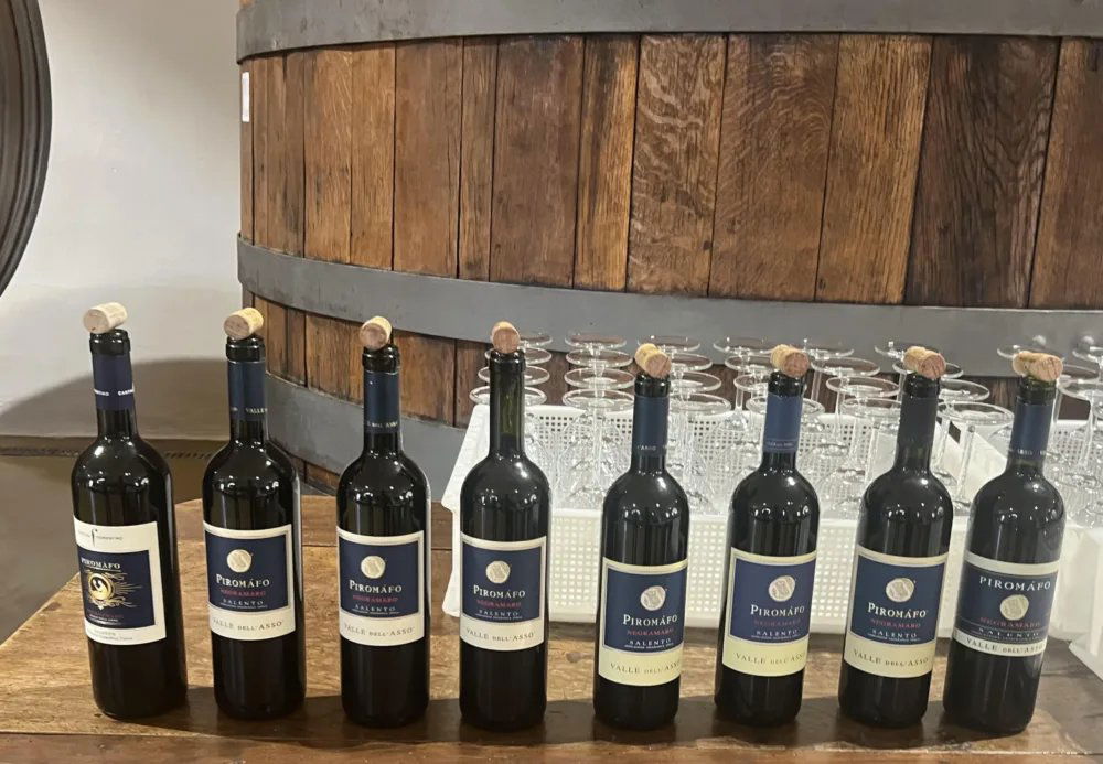 Cantina Fiorentino, Winery in Galatina