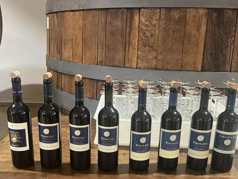 Cantina Fiorentino, Galatina, Italy