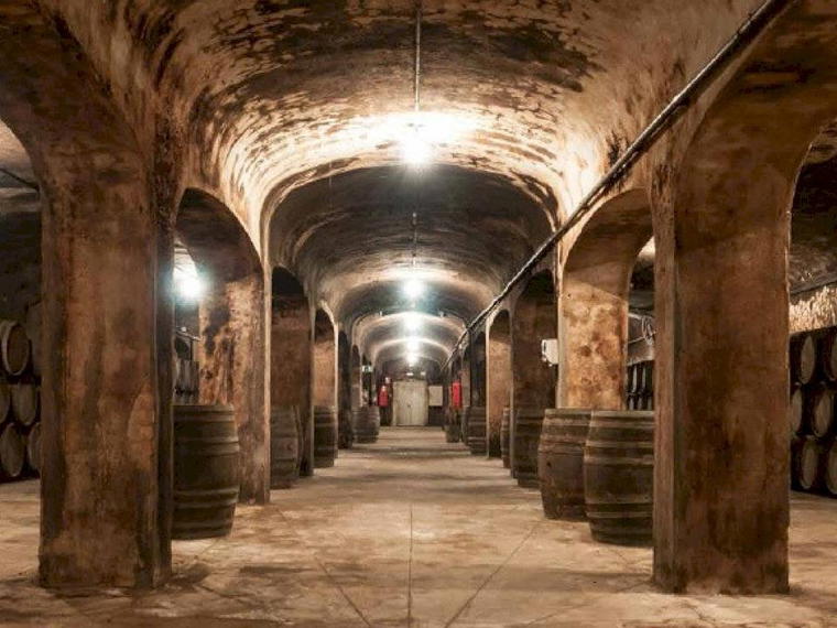 Bodegas y Viñedos del Mediterraneo, Yecla, Spain