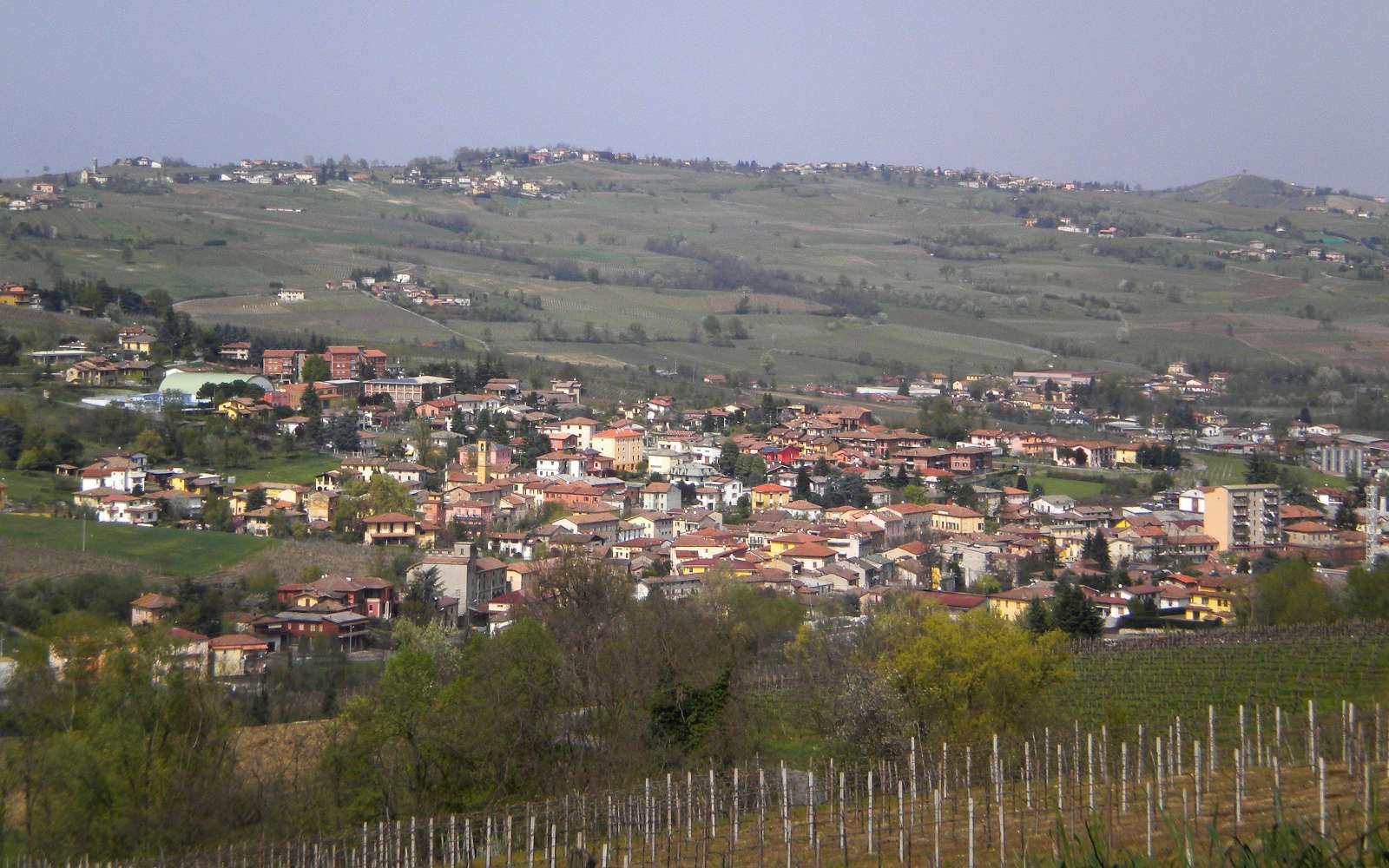 Bosco Longhino