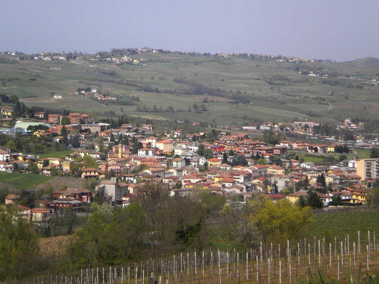 Bosco Longhino, Santa Maria della Versa, Italy