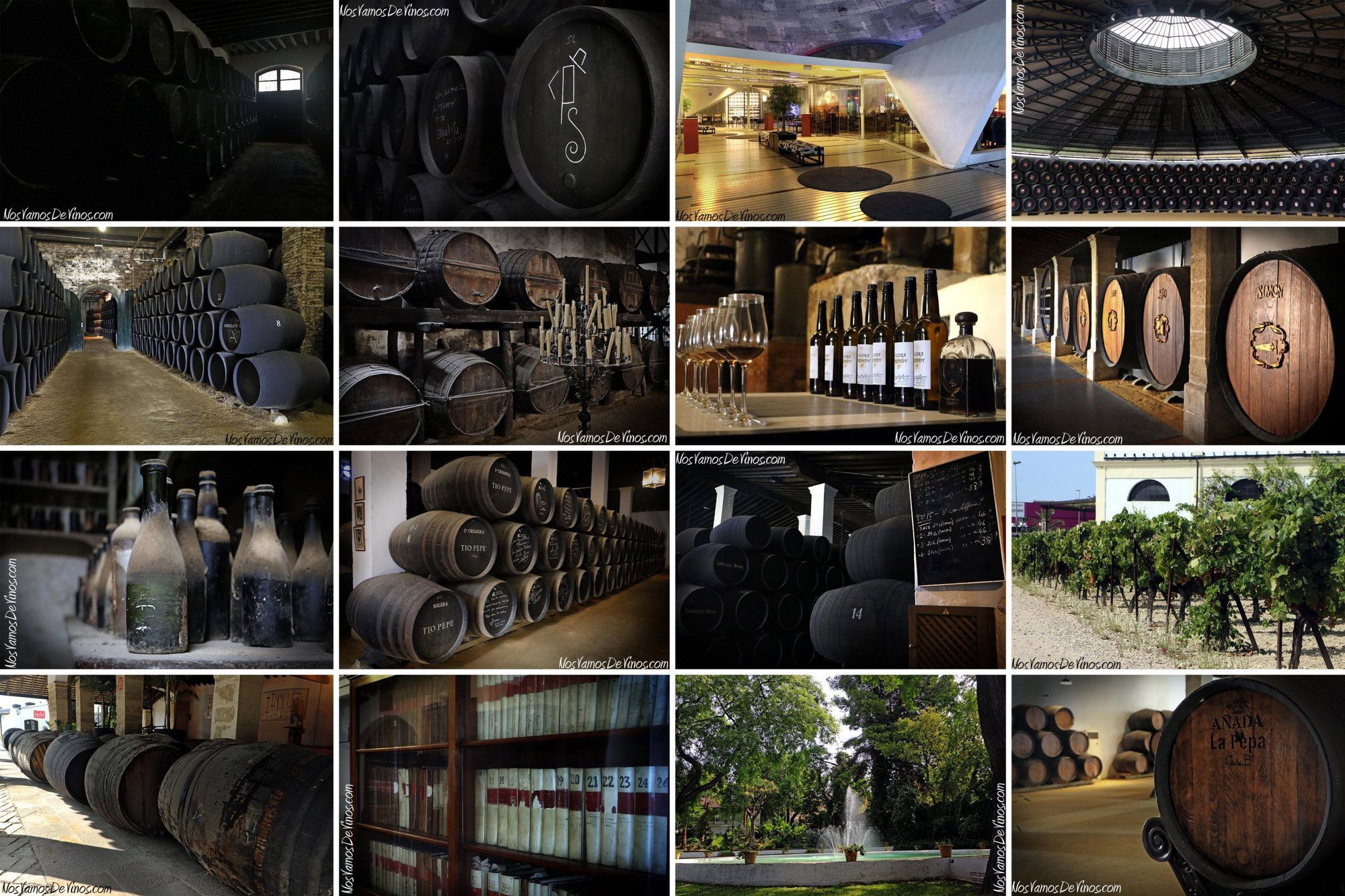 Bodegas Calvo Casajús S.L., Winery in Burgos