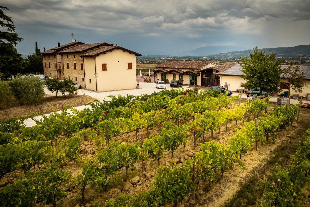 Chiorri, Winery in Perugia