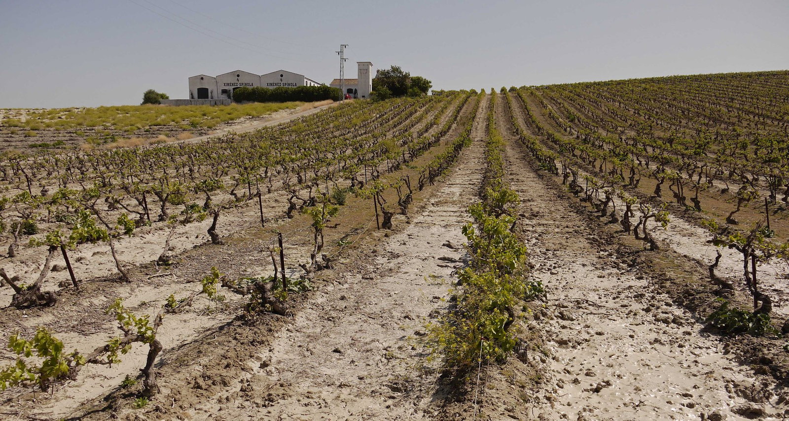 Bodega Ximénez Spinola, Jerez de la Frontera, Spain