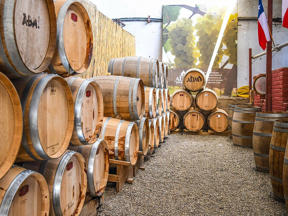 Pisquera ABA, Winery in Vicuña