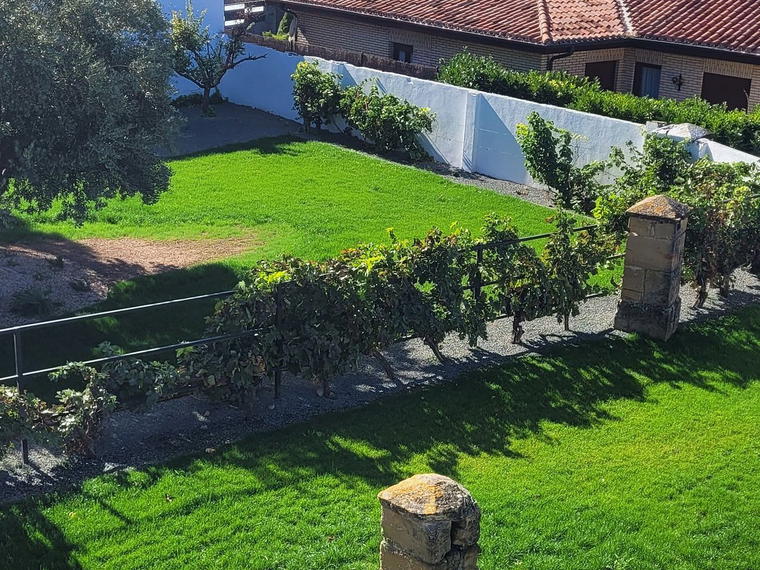 Bodegas Manzanos, Azagra, Spain