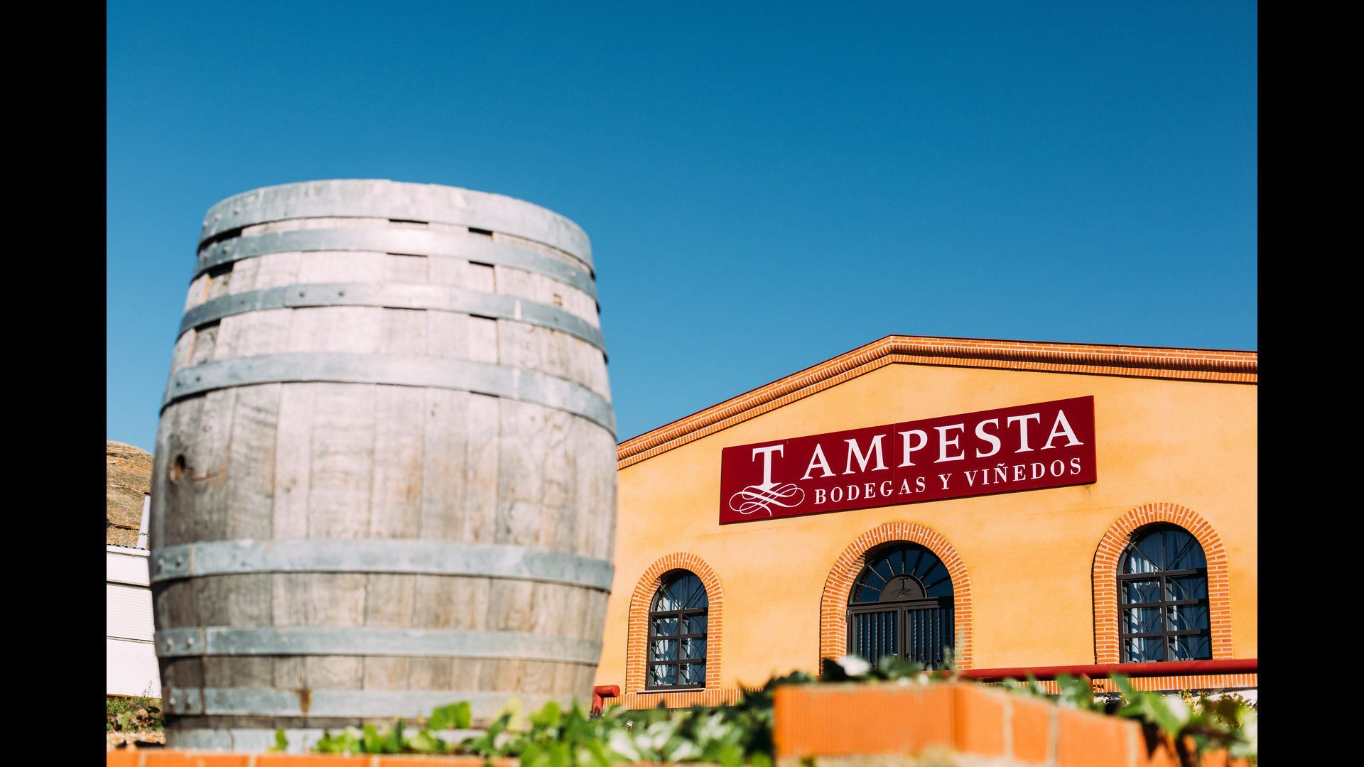 Bodegas y Viñedos Robeal