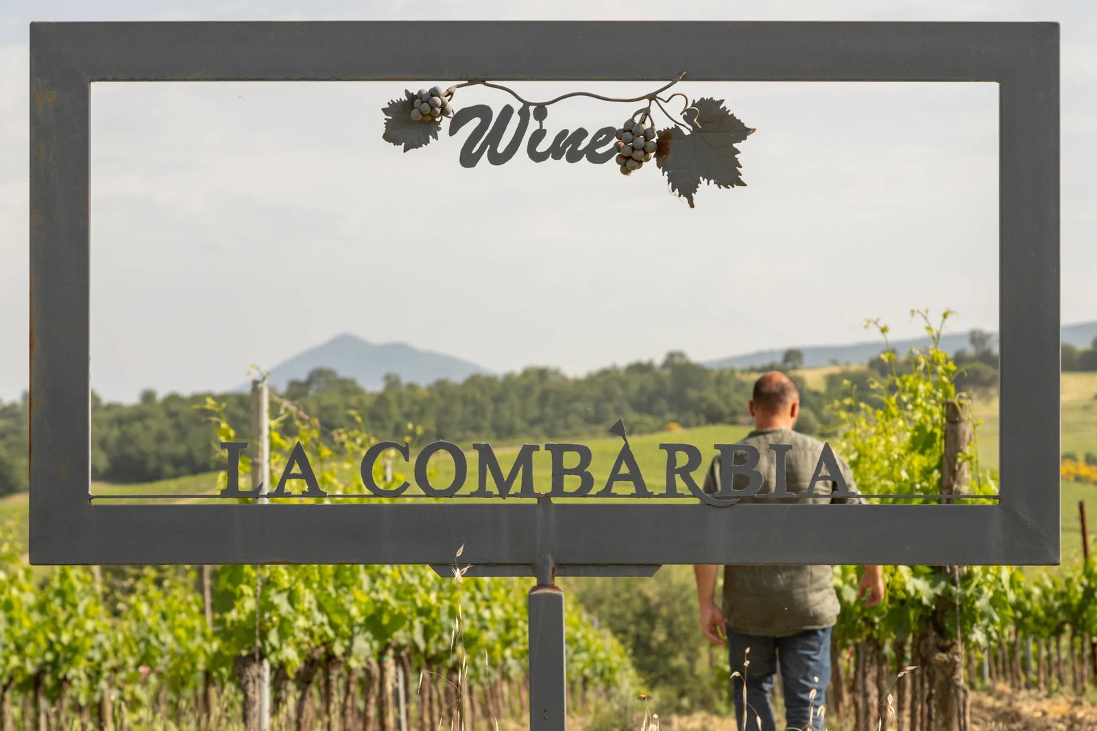 La Combarbia, Montepulciano, Italy