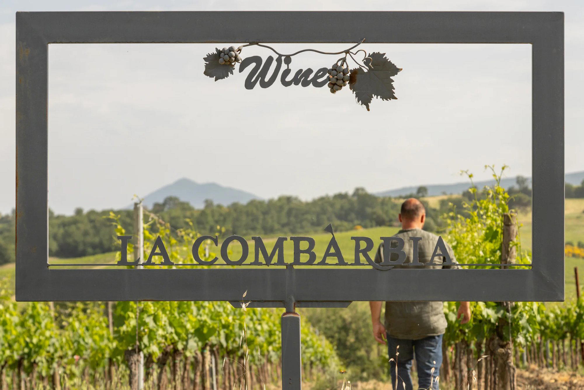 La Combarbia winery in Montepulciano, Italy