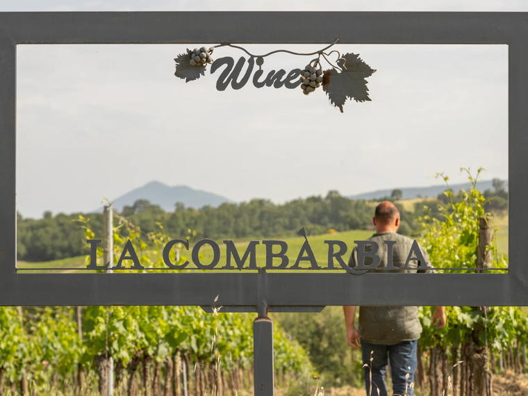 La Combarbia, Montepulciano, Italy