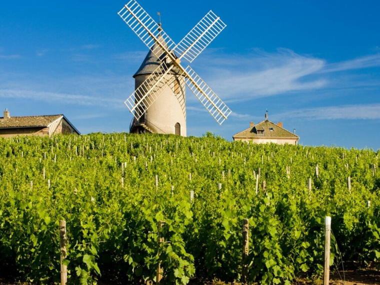 Maxime Cottenceau, Montagny, France