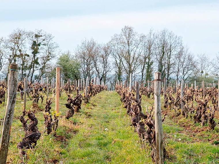Champalou, Vouvray, France