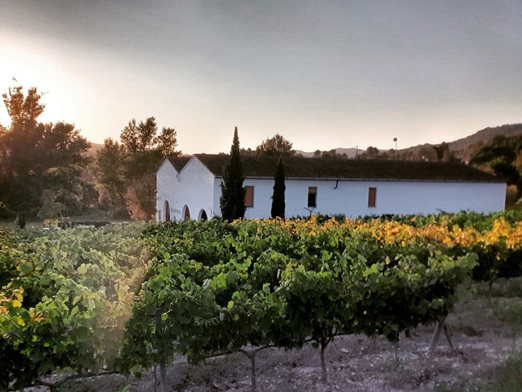 Cava Maria Casanovas, Winery in Sant Jaume Sesoliveres