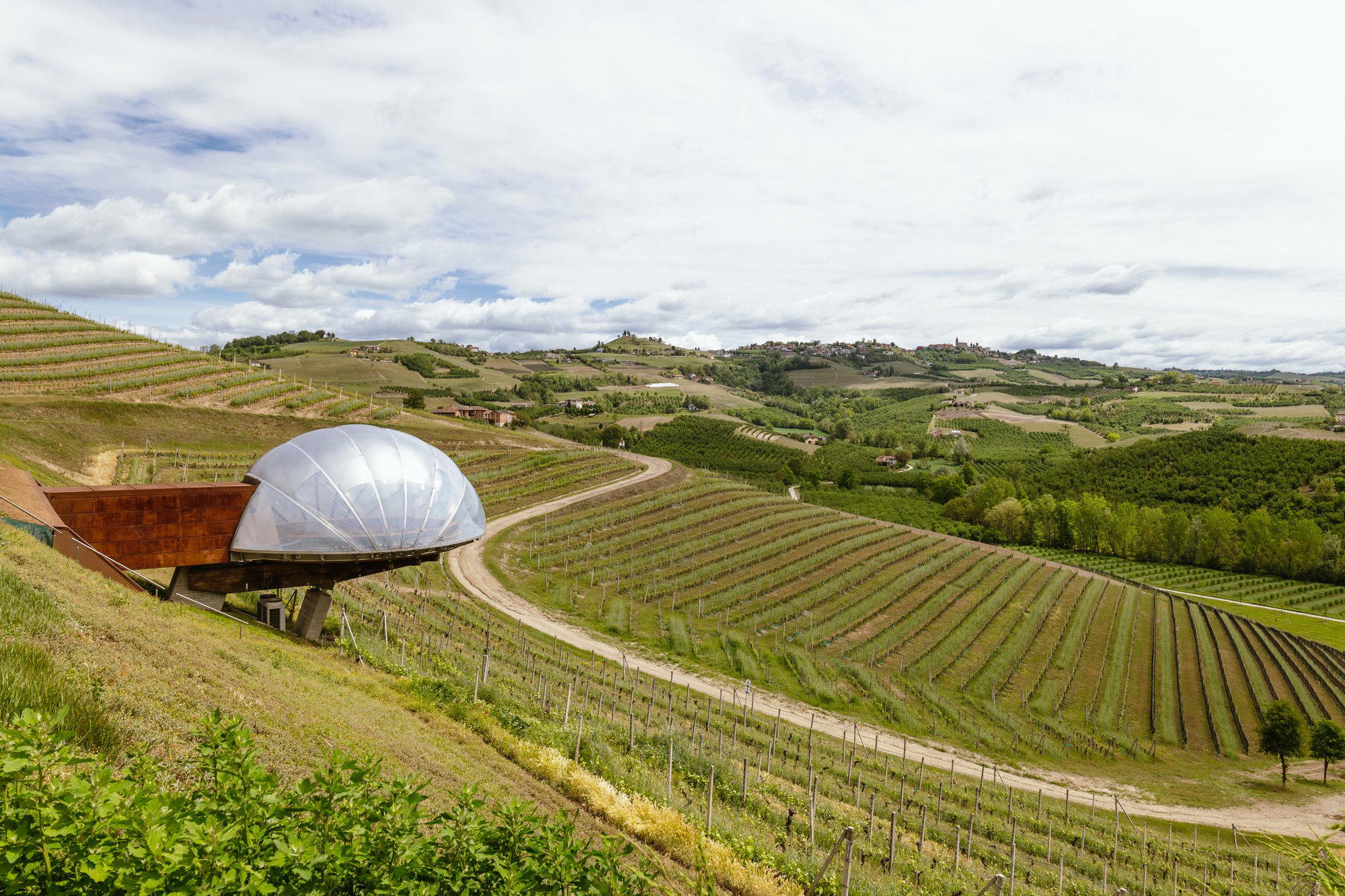 Ceretto Aziende Vitivinicole, Alba, Italy