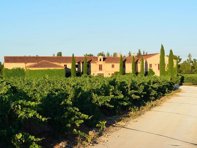 Bodegas Bohórquez, Pesquera de Duero, Spain