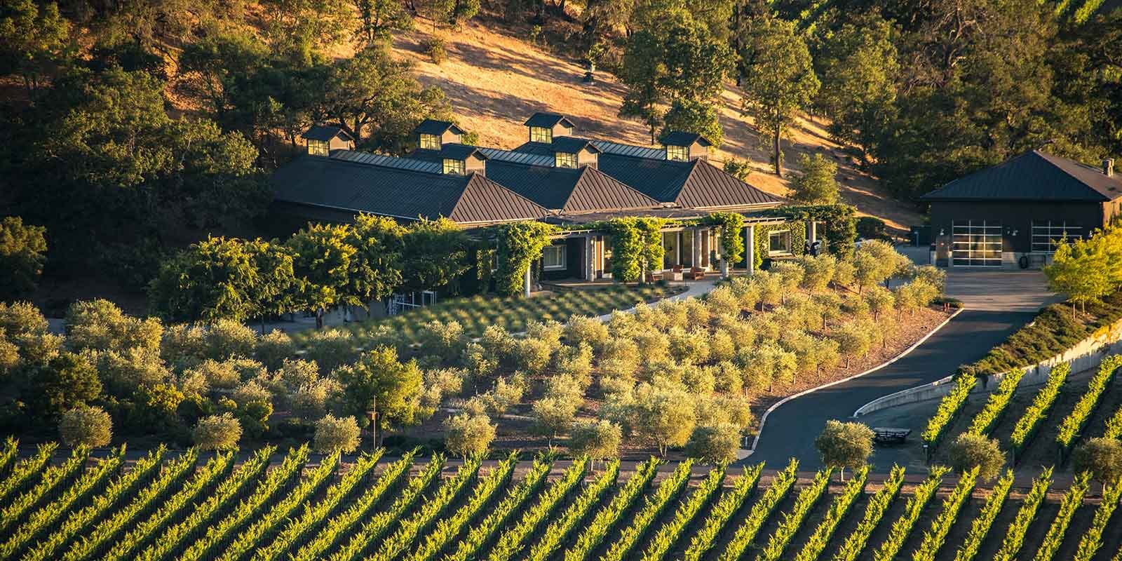 Cliff Lede Vineyards