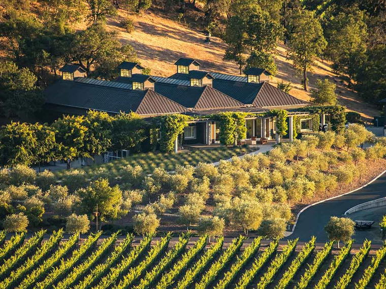 Cliff Lede Vineyards, Stags Leap District (Napa), United States