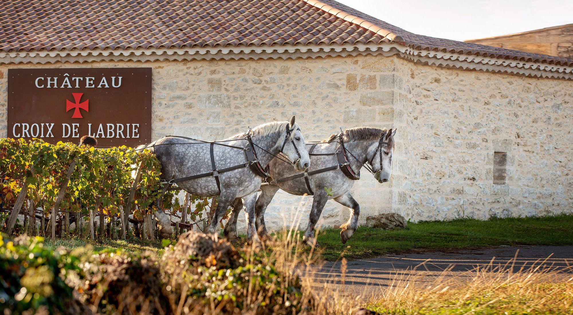 Château Croix de Labrie, Winery in Saint-Christophe-des-Bardes