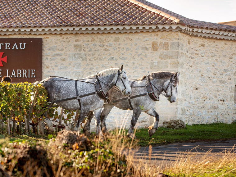 Château Croix de Labrie, Saint-Christophe-des-Bardes, France