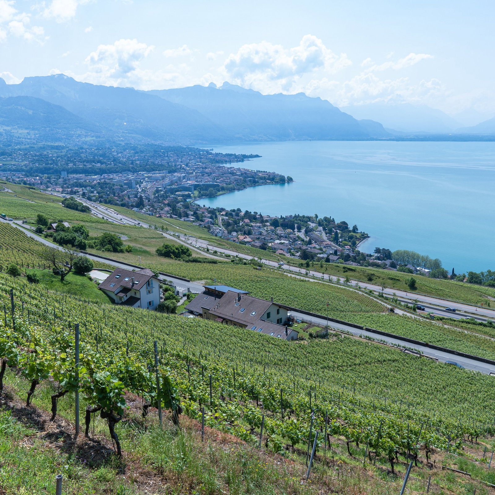 Bernasconi Gianni, Chardonne, Switzerland