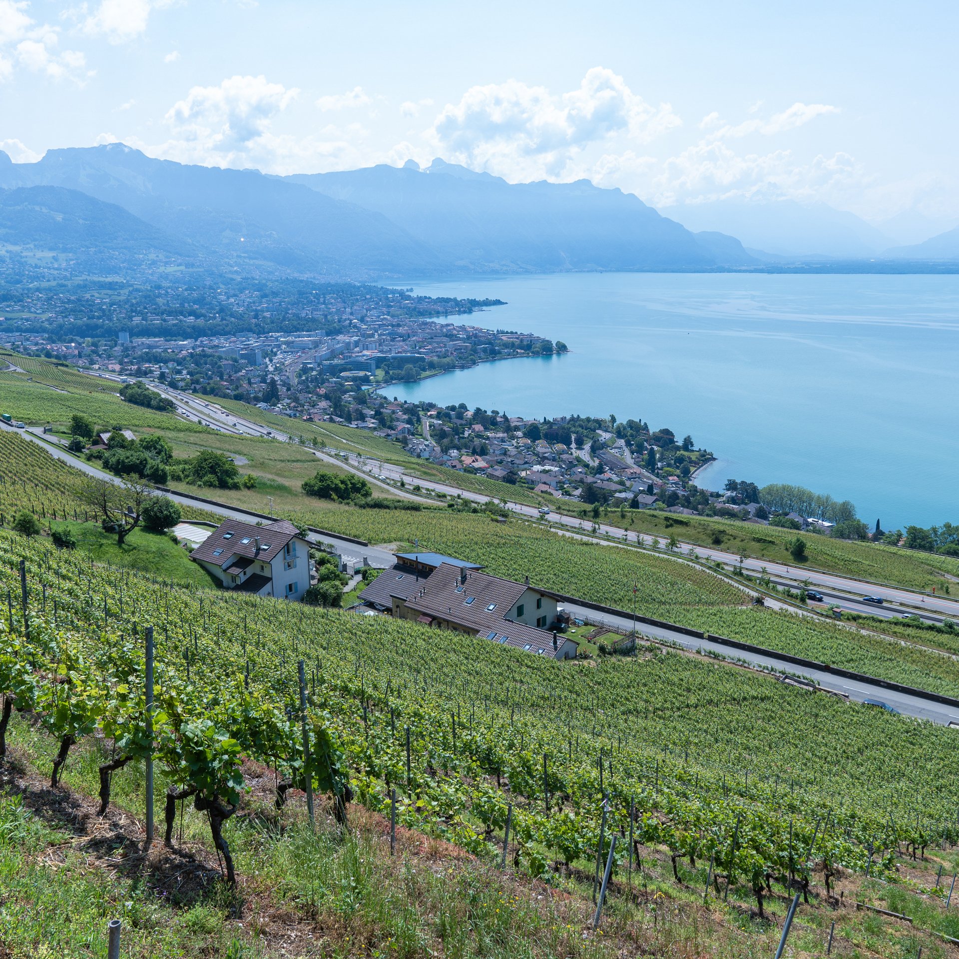 Bernasconi Gianni, Chardonne, Switzerland