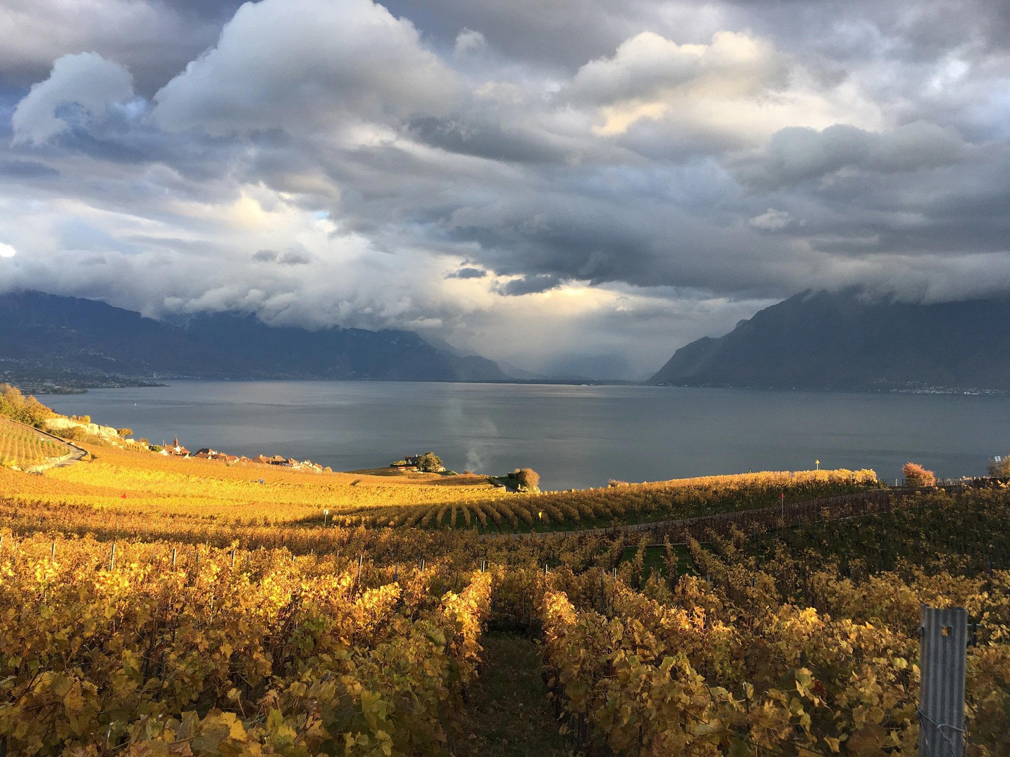 Philippe Baehler winery in Riex