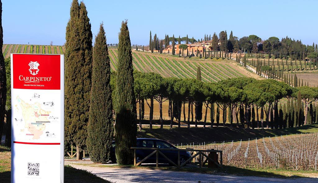 Carpineto, Winery in Greve in Chianti