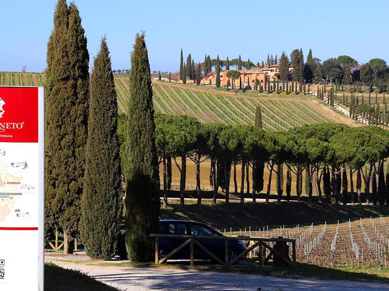 Carpineto, Greve in Chianti, Italy