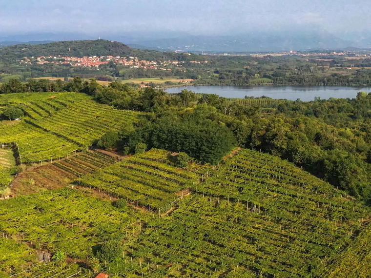 CDZ Vini, Turin, Italy