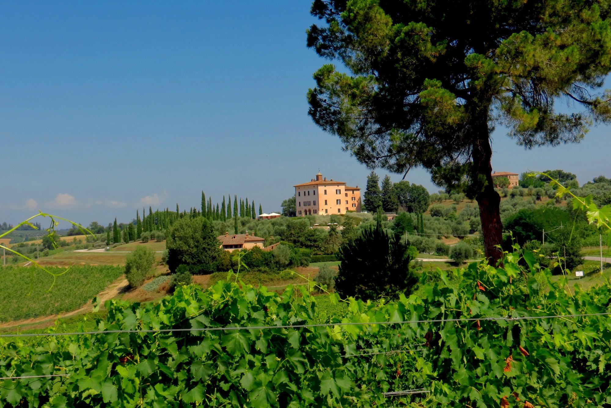Fattoria del Cerro, Montepulciano, Italy
